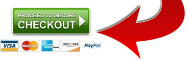 Order the Leaky Gut Cure Basic Program today!